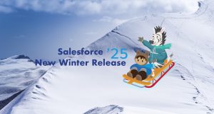 Salesforce Winter 25 Top Pics